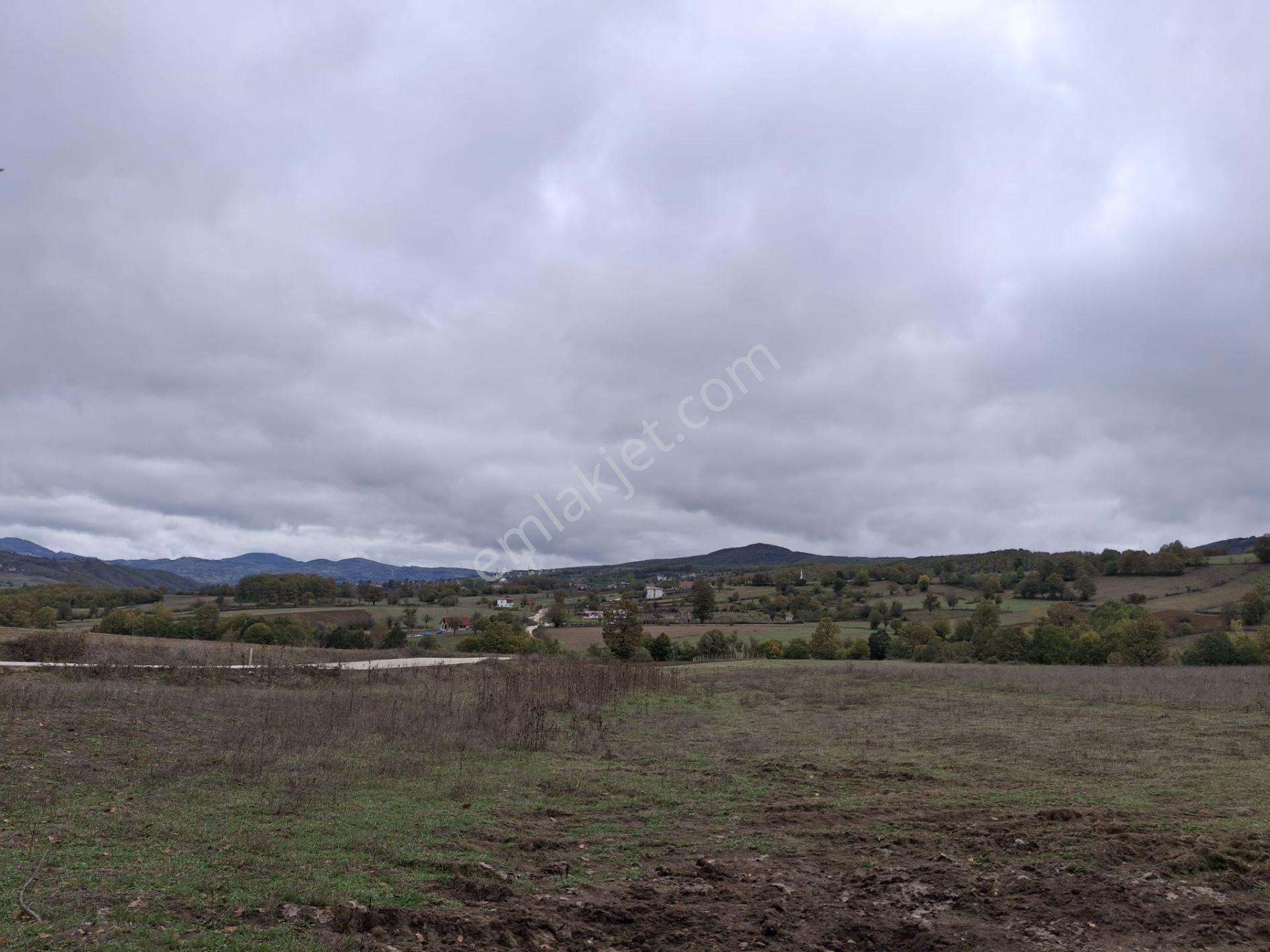 Sahibinden: Kavak-asarcık Karayoluna Yakın, Beton Yola Cepheli Tarla - Görsel 7
