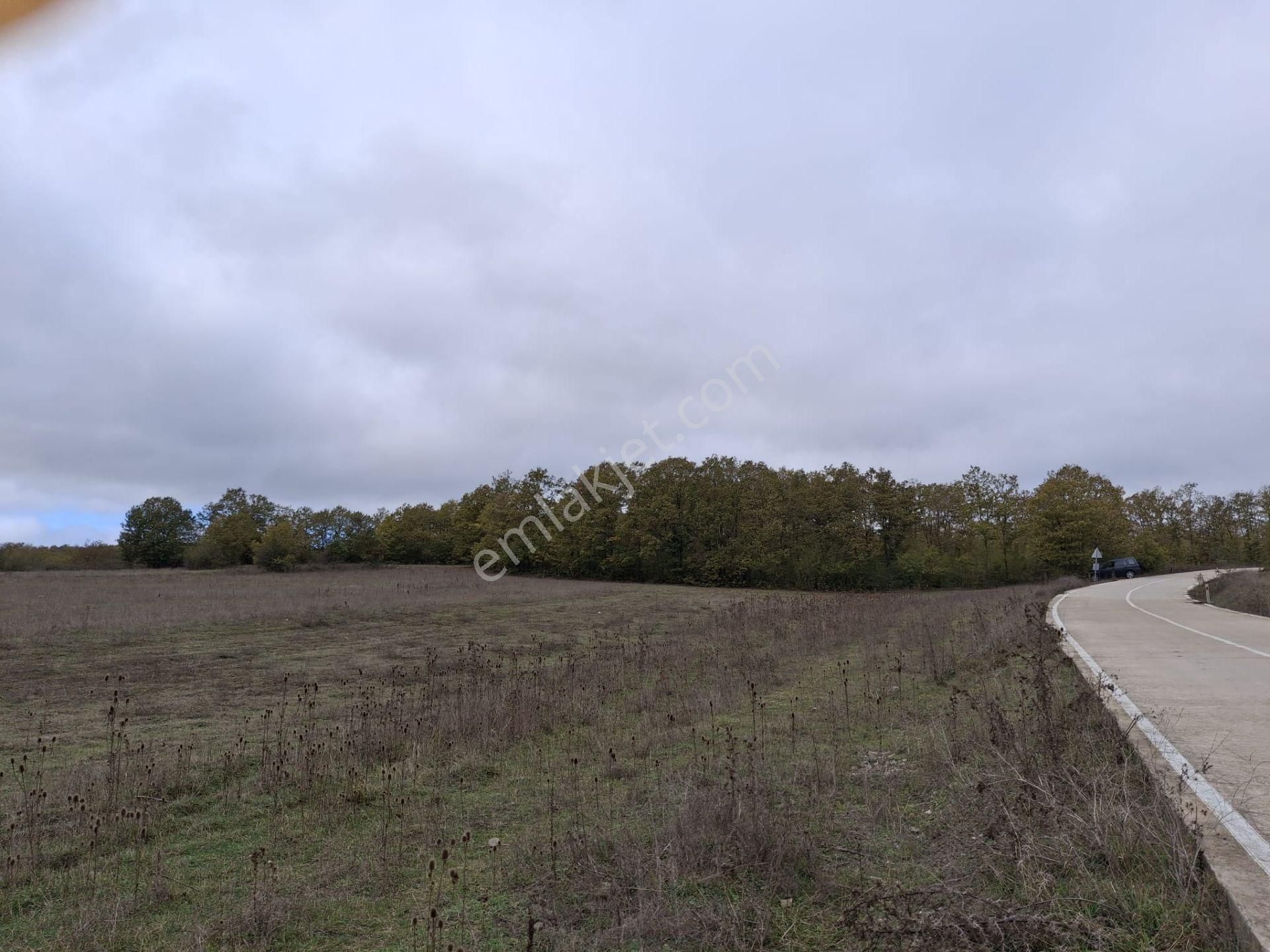 Sahibinden: Kavak-asarcık Karayoluna Yakın, Beton Yola Cepheli Tarla - Görsel 2