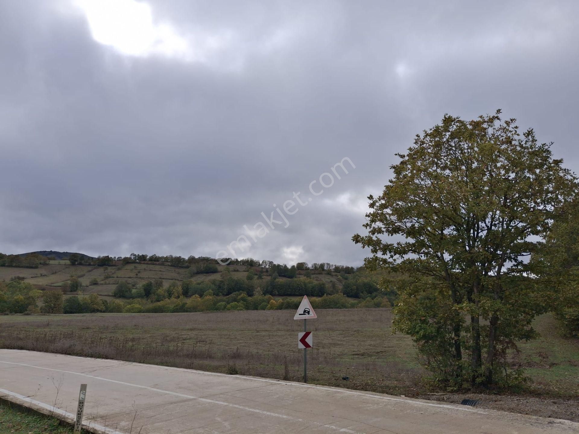 Sahibinden: Kavak-asarcık Karayoluna Yakın, Beton Yola Cepheli Tarla - Görsel 4