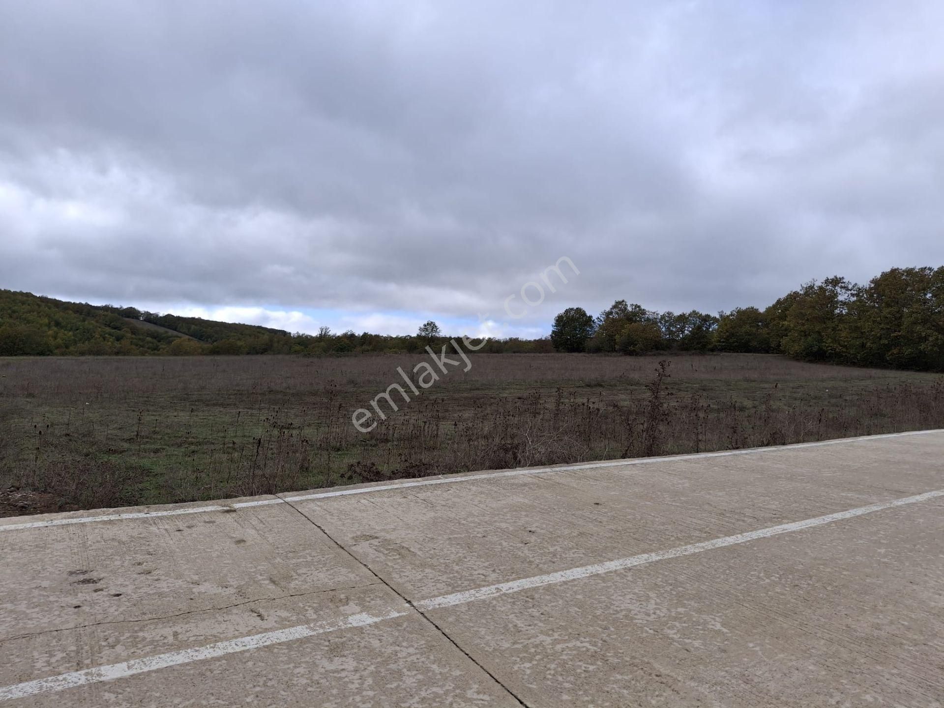 Sahibinden: Kavak-asarcık Karayoluna Yakın, Beton Yola Cepheli Tarla - Görsel 3