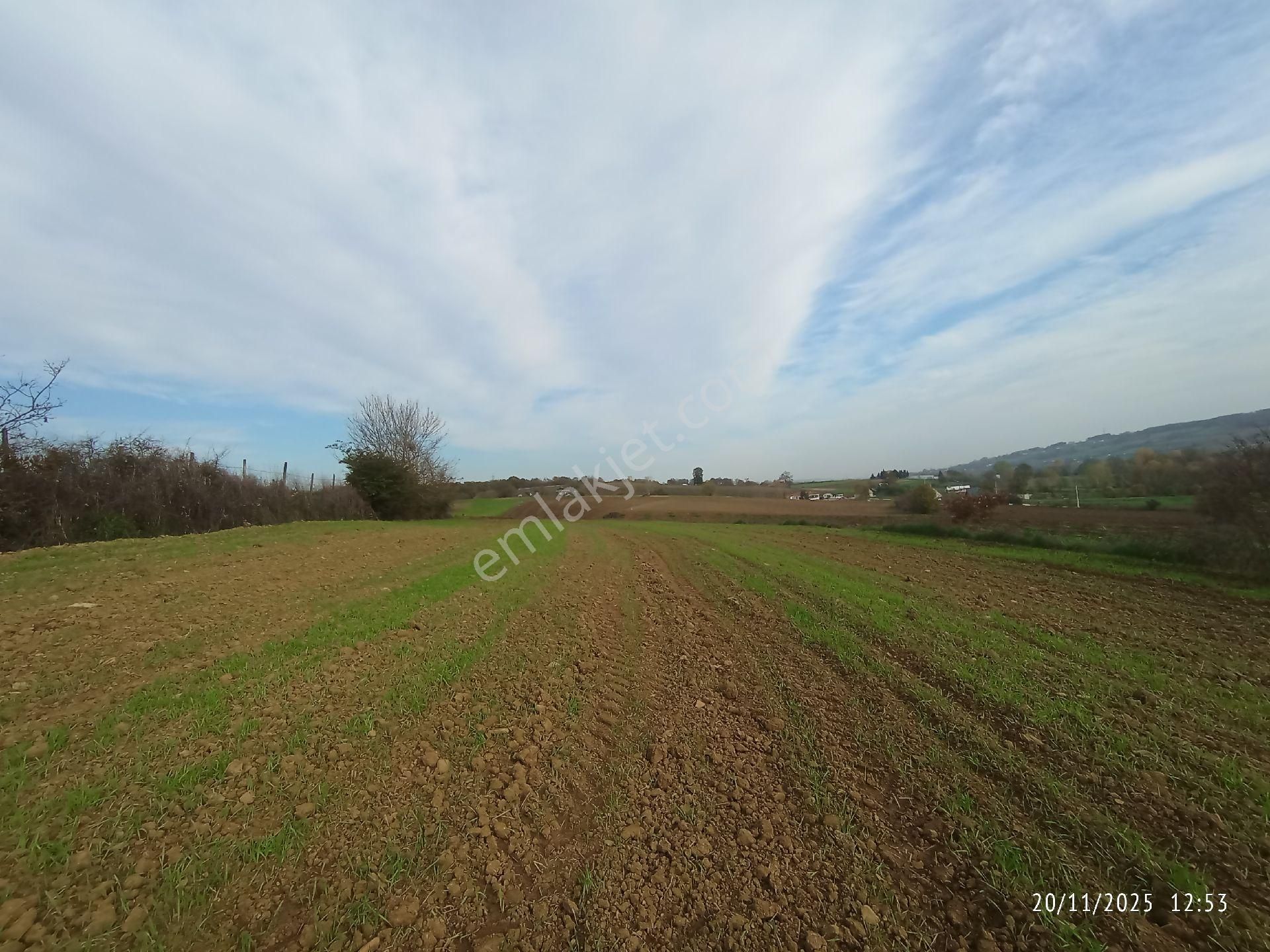 Aşırlar'da İmara Yakın Fırsat Arsa - Görsel 30