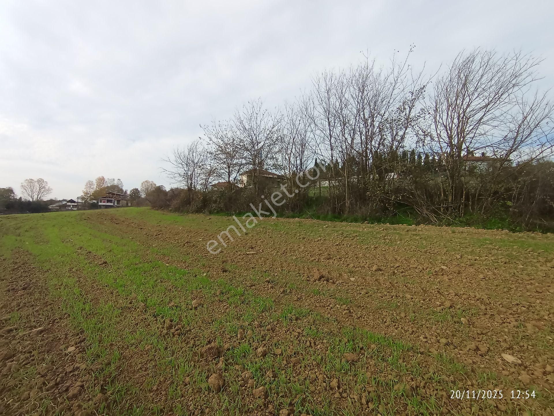 Aşırlar'da İmara Yakın Fırsat Arsa - Görsel 31