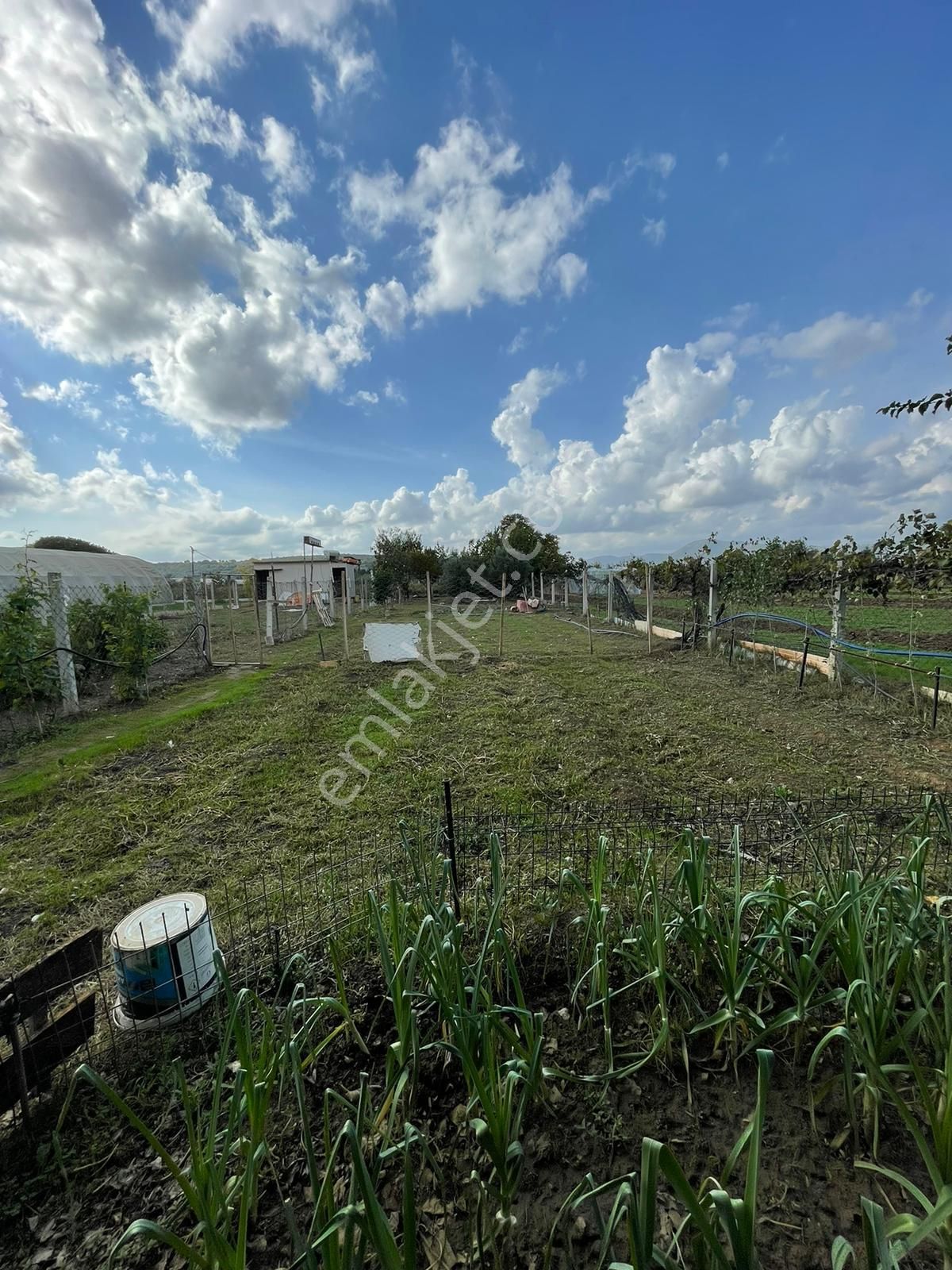 Menderes Bulgurca'da (çilemeye Daha Yakın) Satılık Tarla (müstakil Ev) - Görsel 27