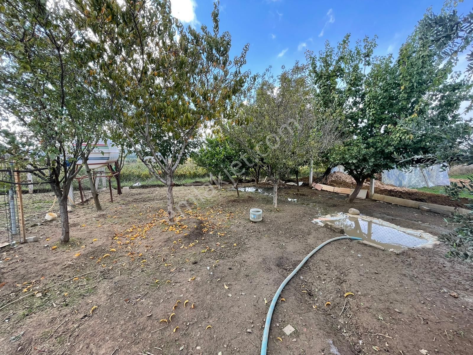 Menderes Bulgurca'da (çilemeye Daha Yakın) Satılık Tarla (müstakil Ev) - Görsel 32