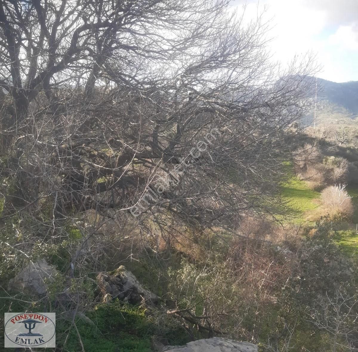 Milas Türkevlerinde Kelepir Arazi - Görsel 11