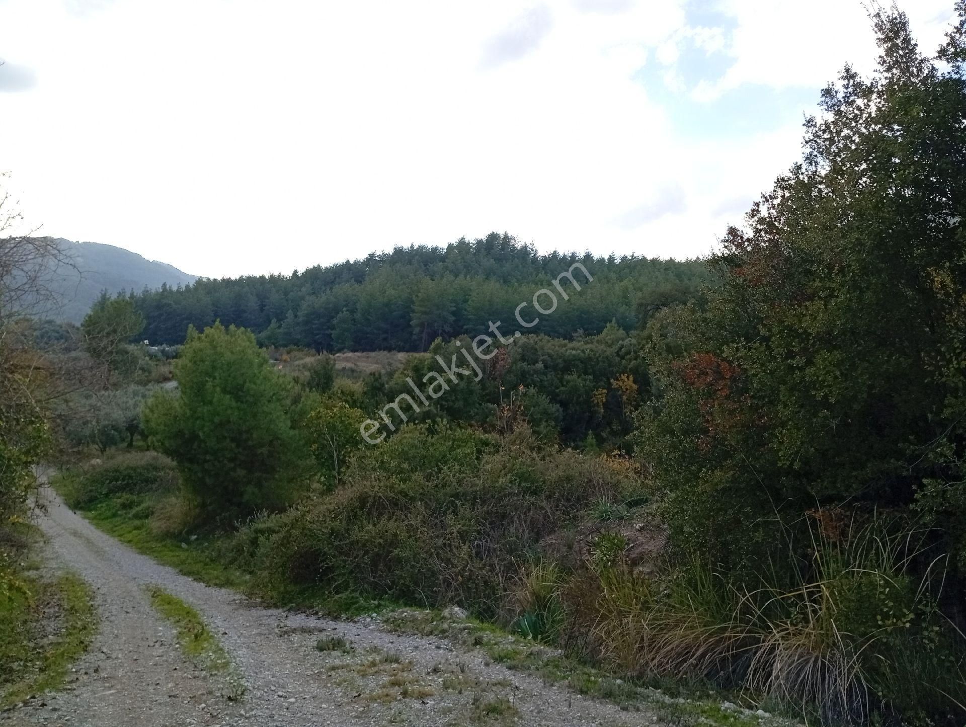 Seydikemer Ortaköy De Satilk 726 M2 Tarla - Görsel 15