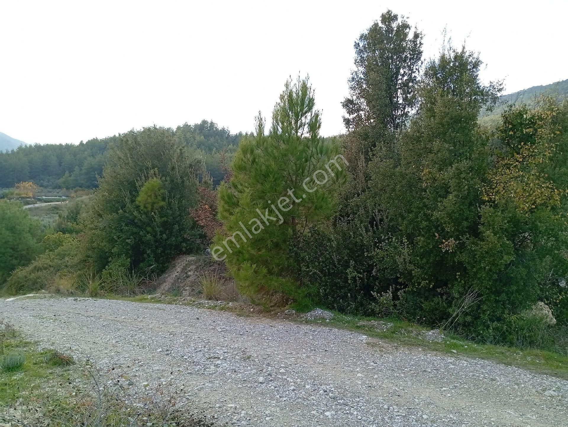 Seydikemer Ortaköy De Satilk 726 M2 Tarla - Görsel 14
