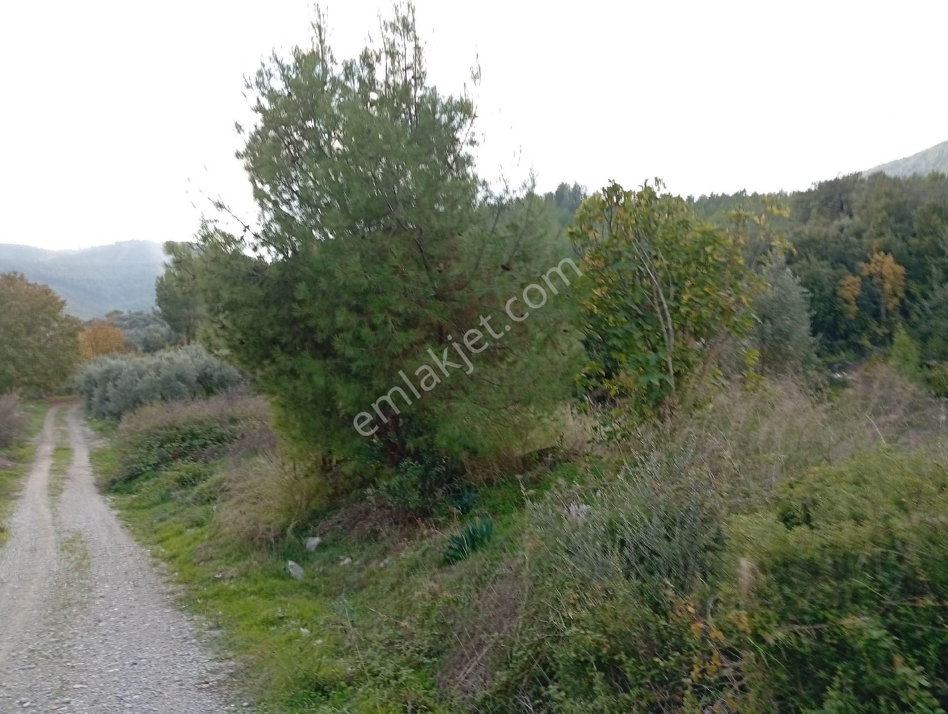 Seydikemer Ortaköy De Satilk 726 M2 Tarla - Görsel 18