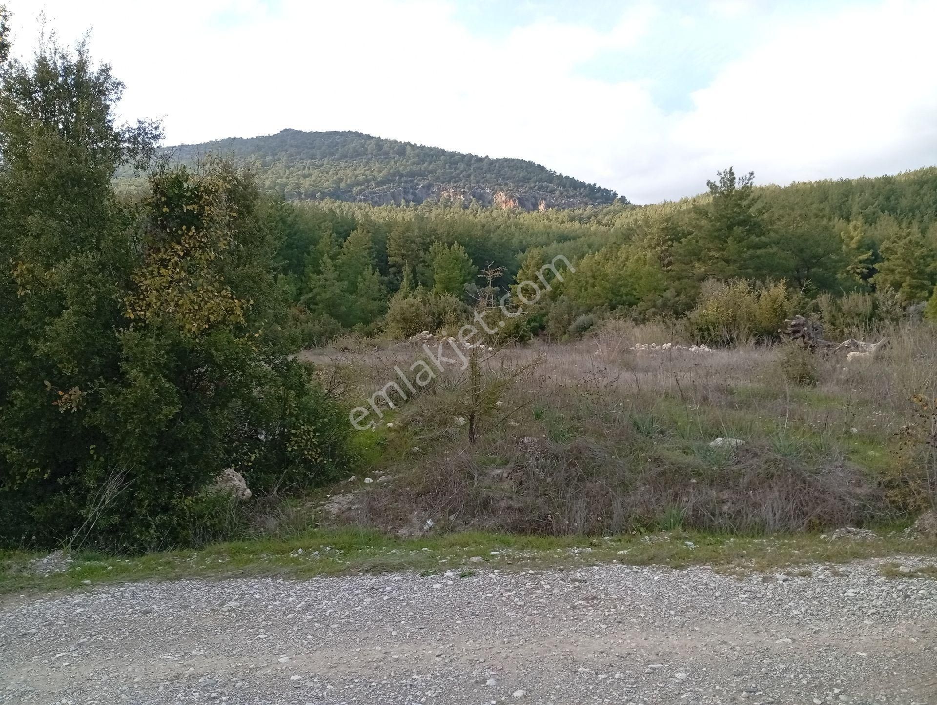 Seydikemer Ortaköy De Satilk 726 M2 Tarla - Görsel 4