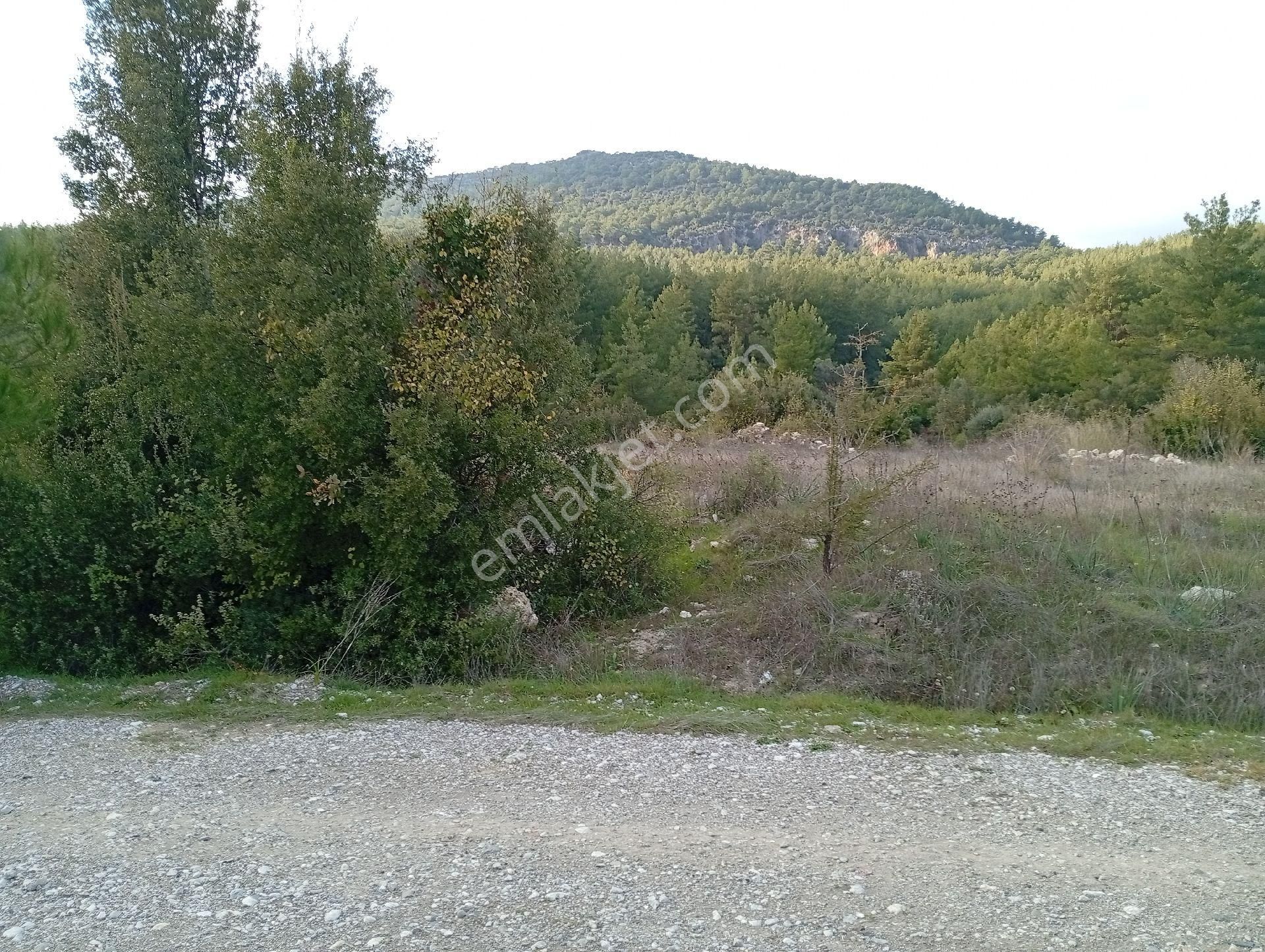 Seydikemer Ortaköy De Satilk 726 M2 Tarla - Görsel 22