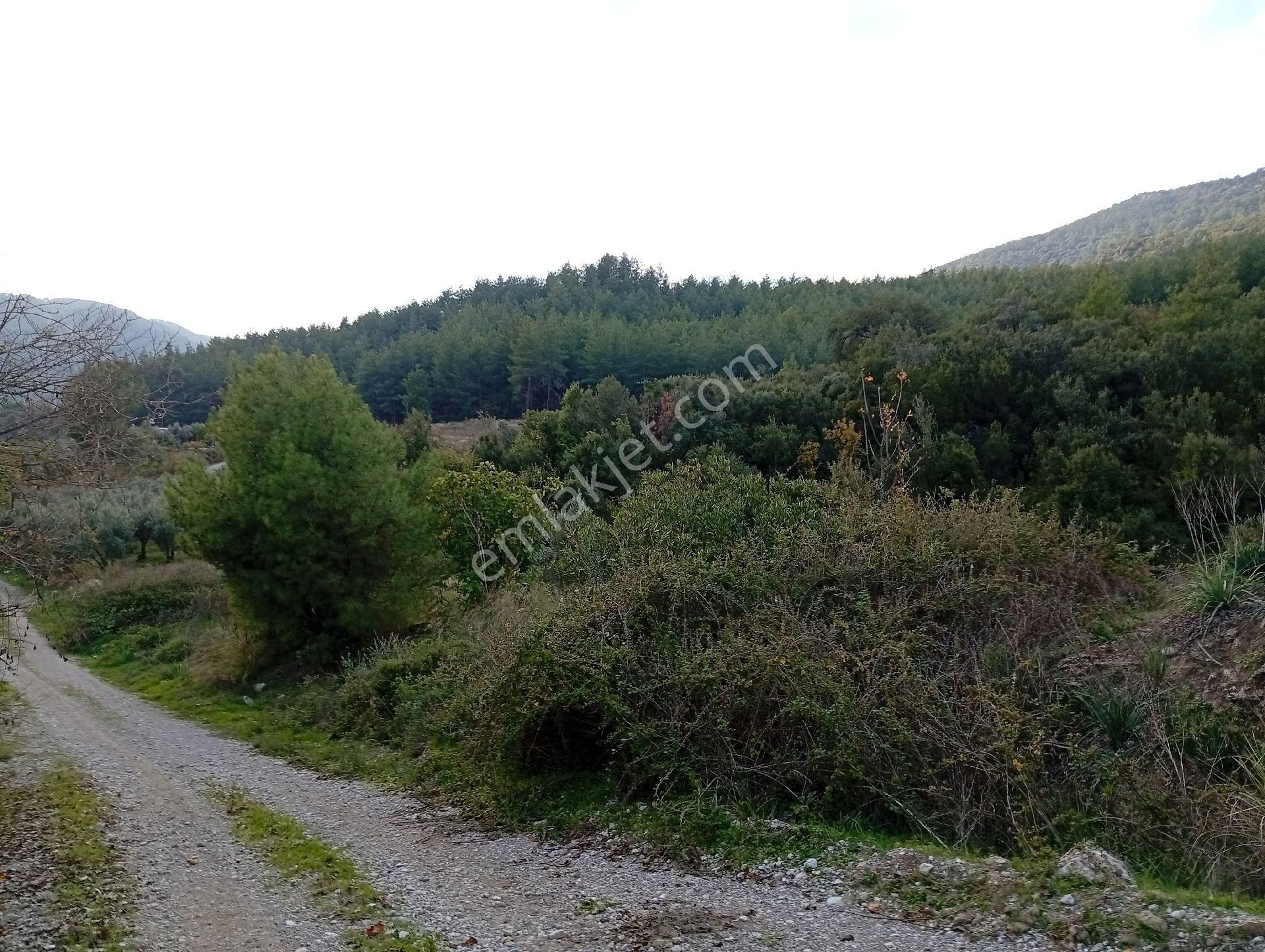 Seydikemer Ortaköy De Satilk 726 M2 Tarla - Görsel 7