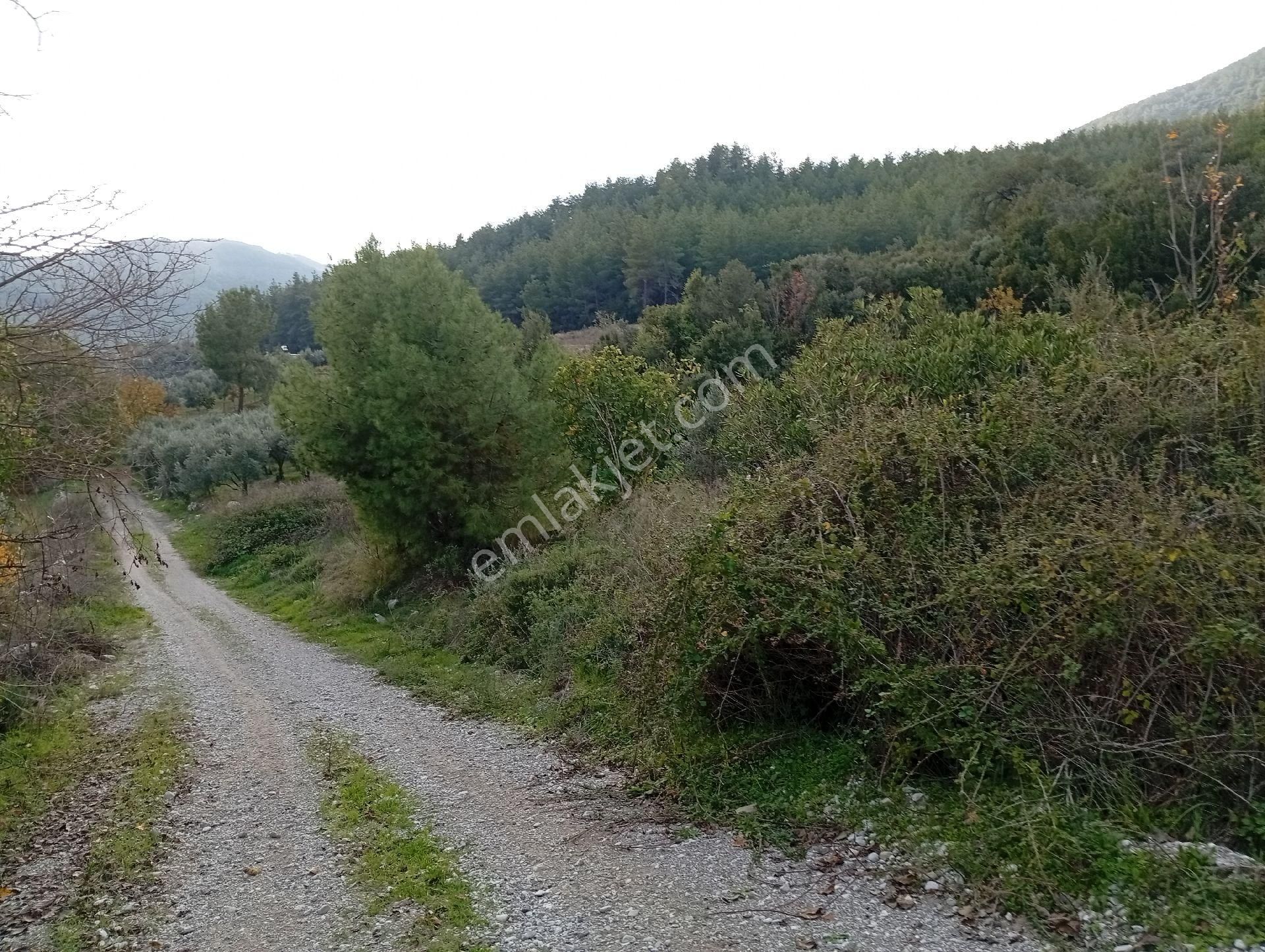 Seydikemer Ortaköy De Satilk 726 M2 Tarla - Görsel 20
