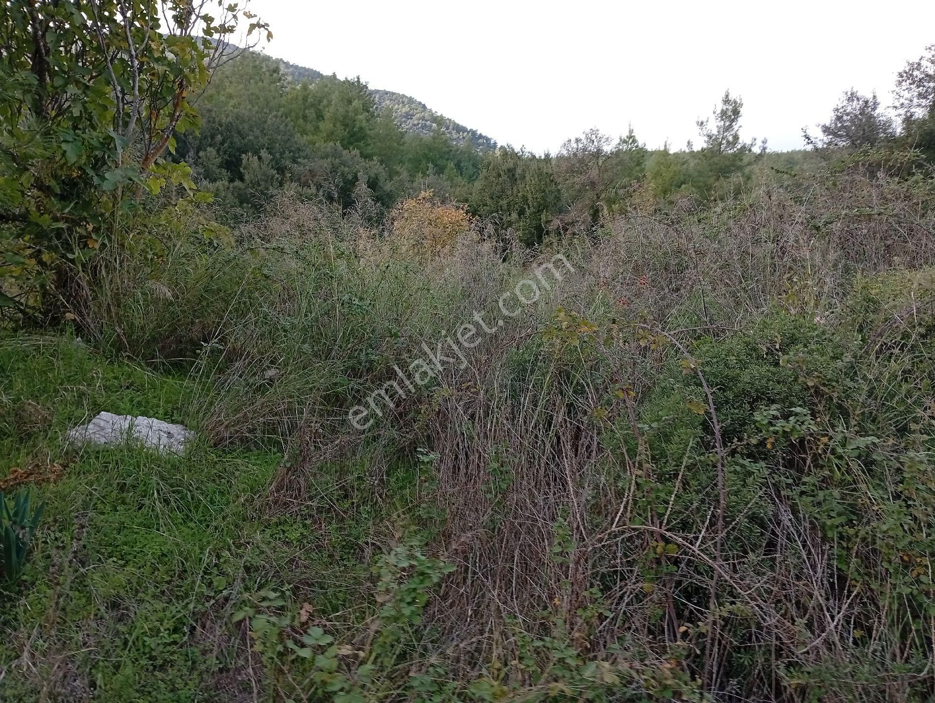 Seydikemer Ortaköy De Satilk 726 M2 Tarla - Görsel 10