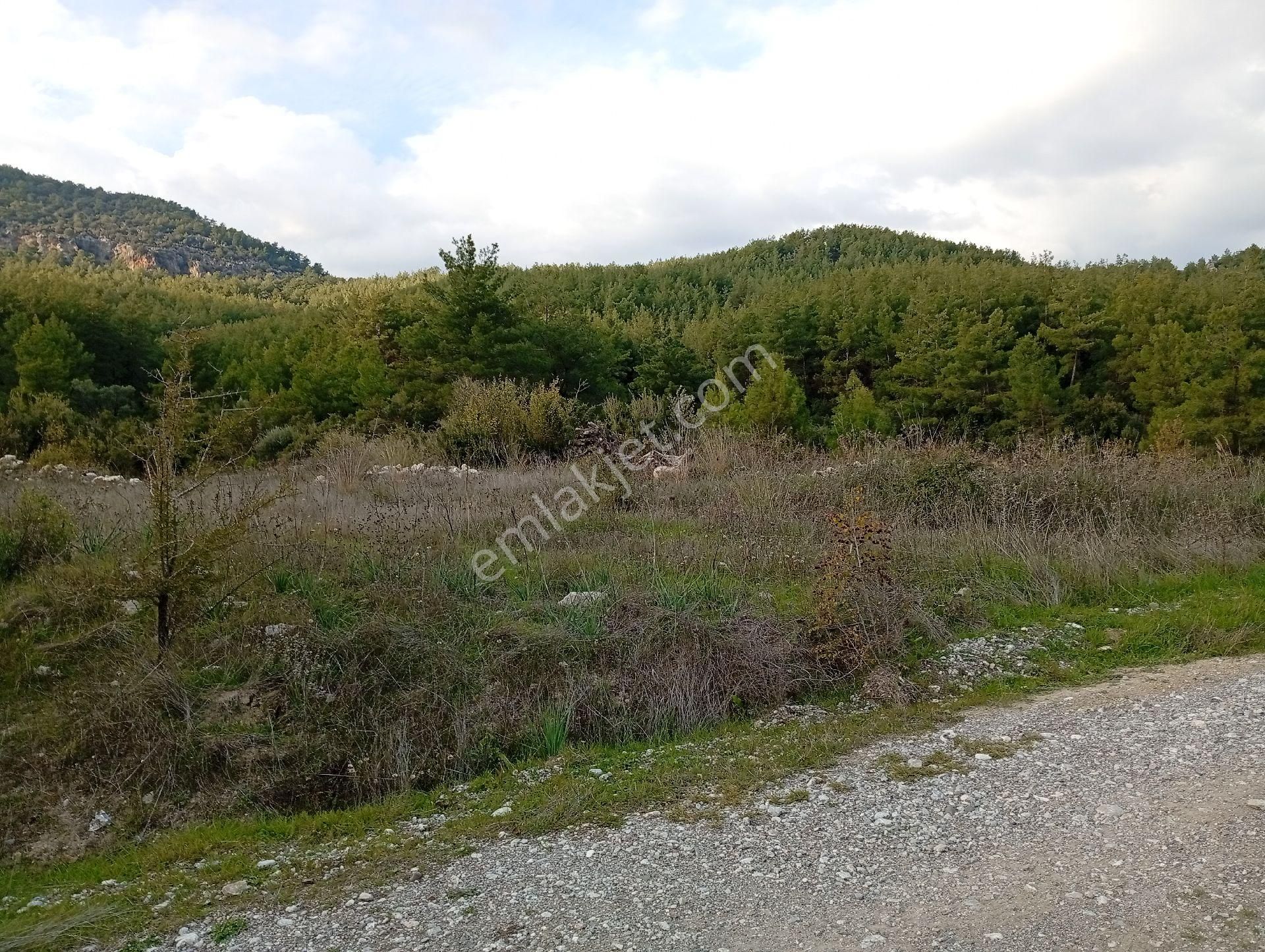 Seydikemer Ortaköy De Satilk 726 M2 Tarla - Görsel 17