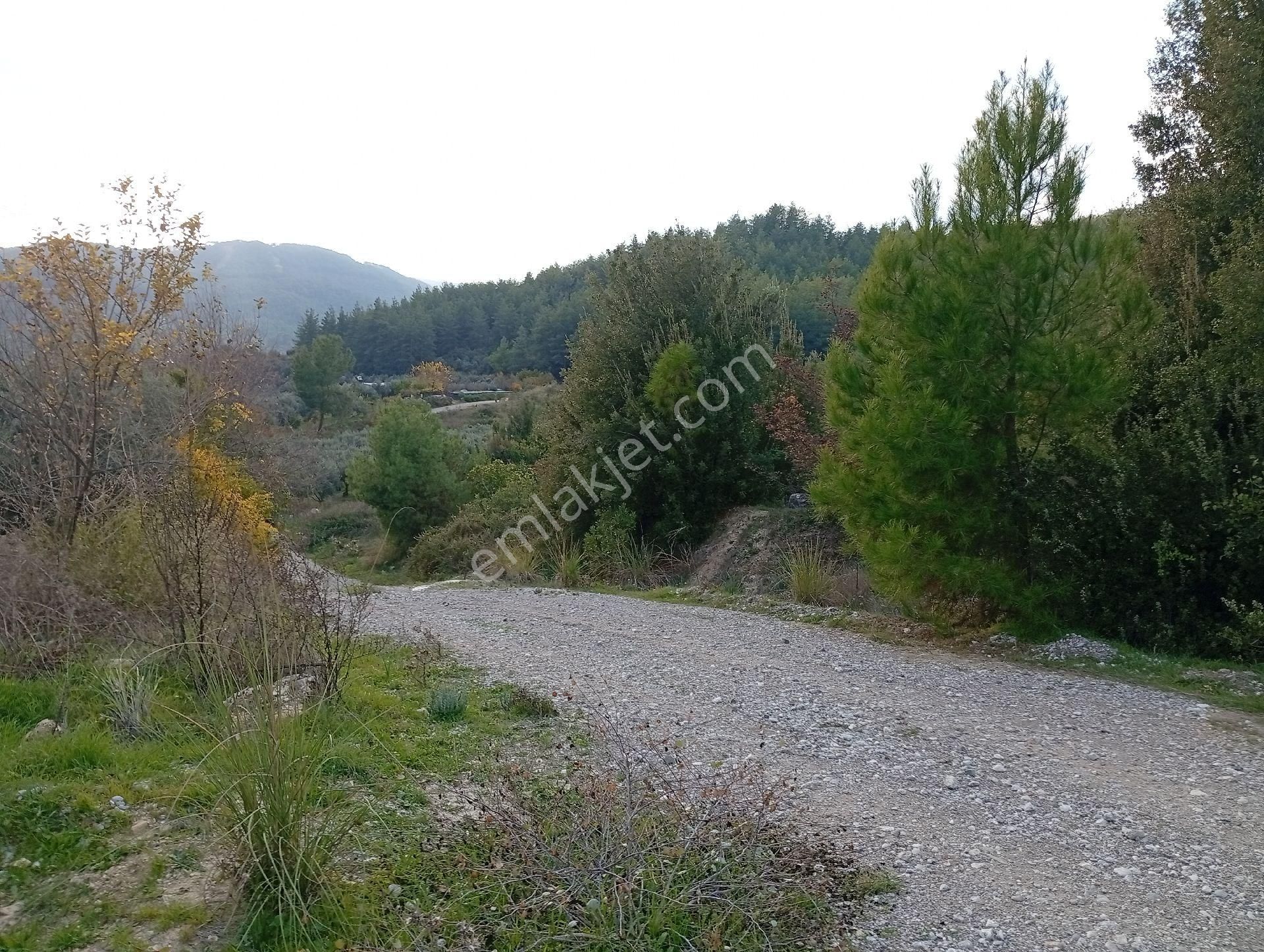 Seydikemer Ortaköy De Satilk 726 M2 Tarla - Görsel 16