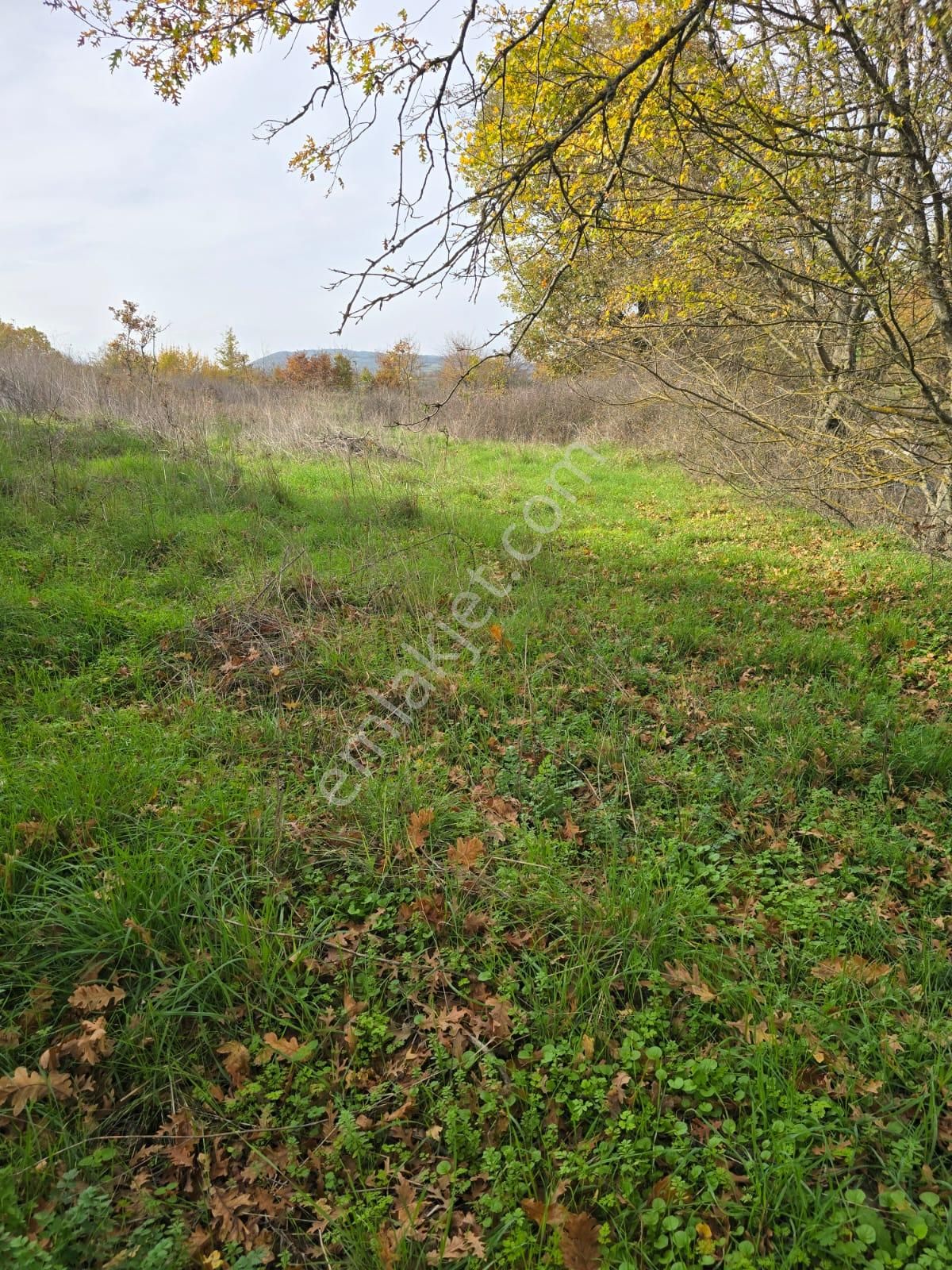 Çanakkale Çan Yaykın Köyü'nde Satılık Tarla - Görsel 17