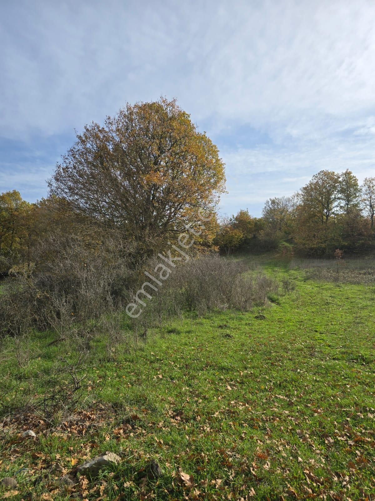Çanakkale Çan Yaykın Köyü'nde Satılık Tarla - Görsel 25