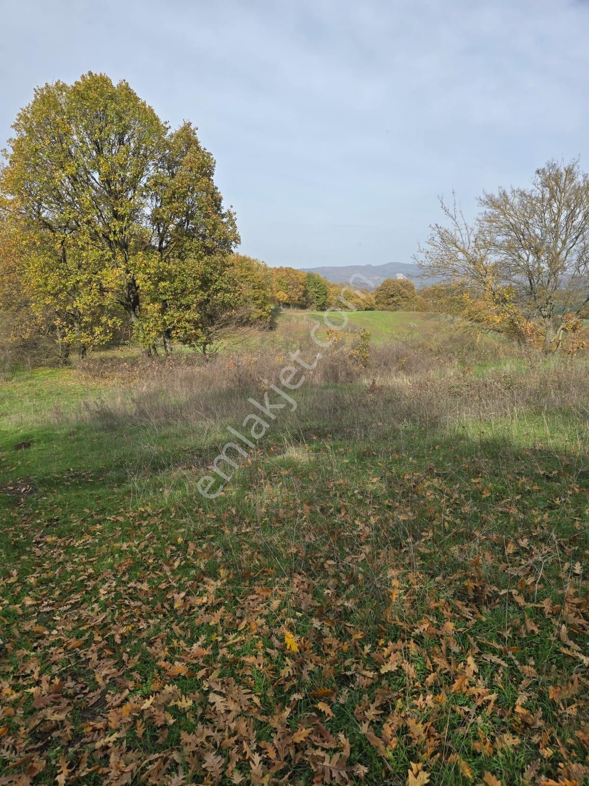 Çanakkale Çan Yaykın Köyü'nde Satılık Tarla - Görsel 20