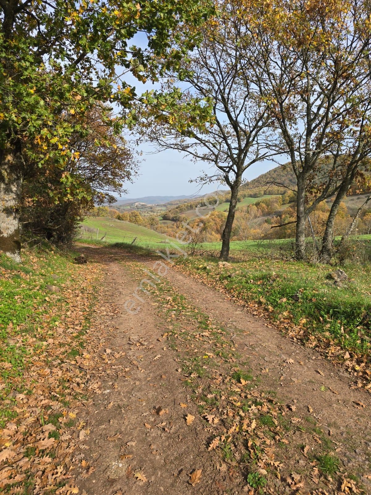 Çanakkale Çan Yaykın Köyü'nde Satılık Tarla - Görsel 14