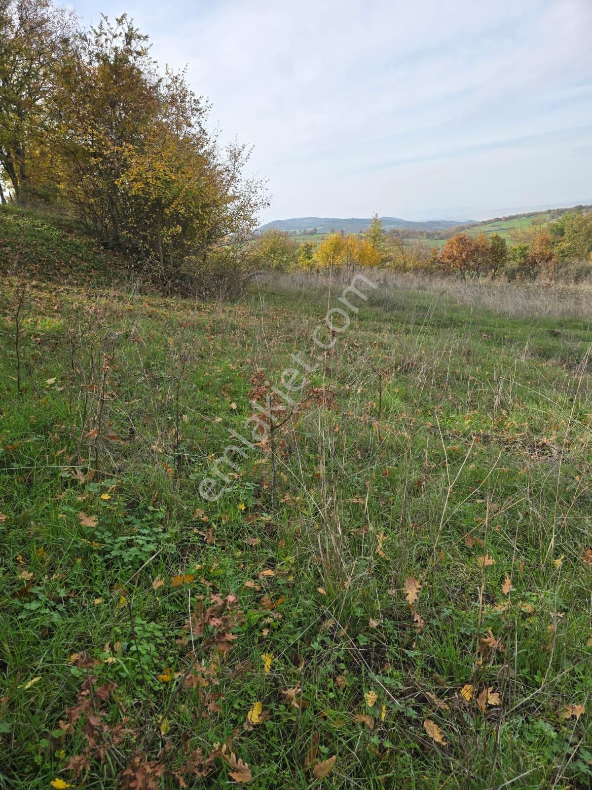 Çanakkale Çan Yaykın Köyü'nde Satılık Tarla - Görsel 18