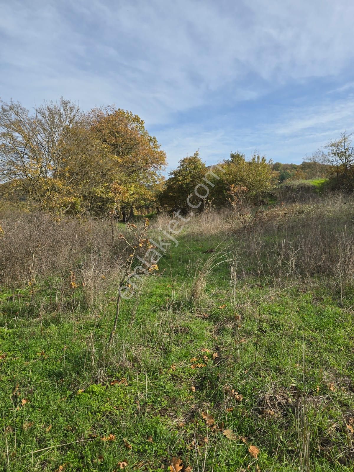 Çanakkale Çan Yaykın Köyü'nde Satılık Tarla