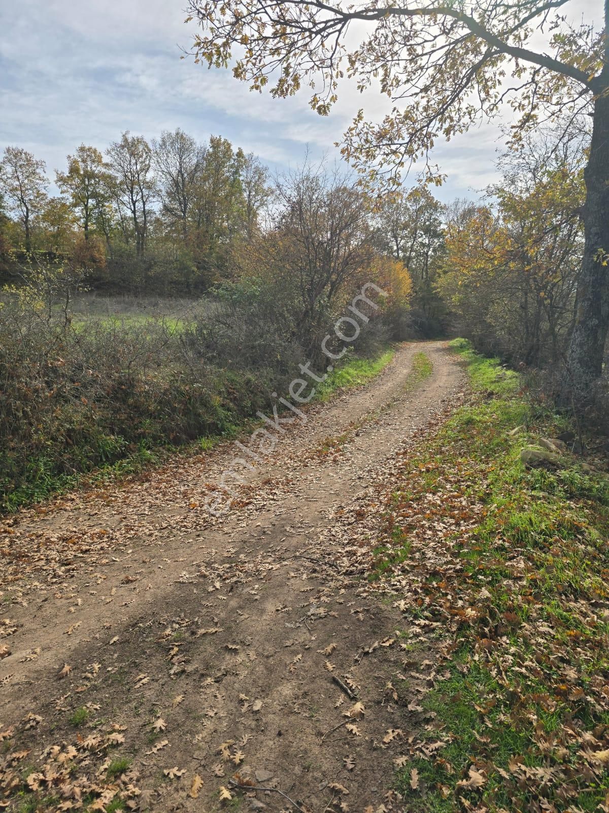 Çanakkale Çan Yaykın Köyü'nde Satılık Tarla - Görsel 7