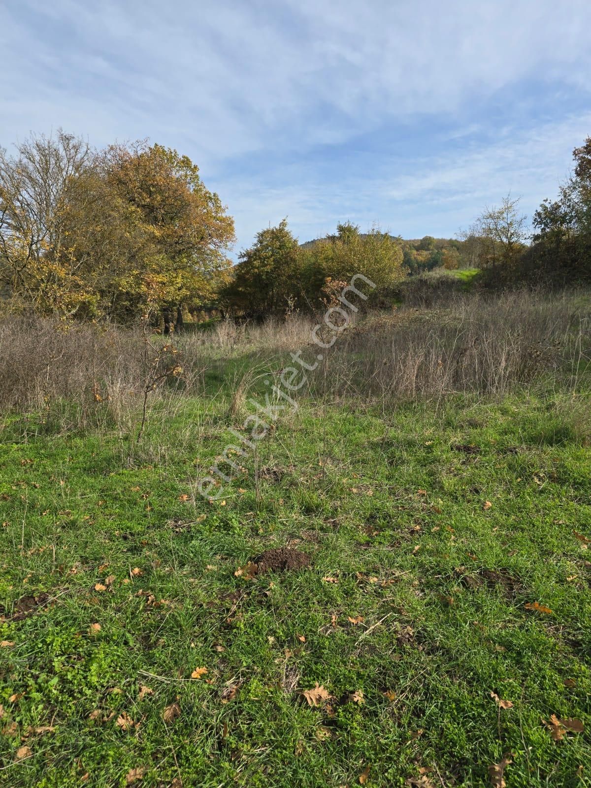 Çanakkale Çan Yaykın Köyü'nde Satılık Tarla - Görsel 19