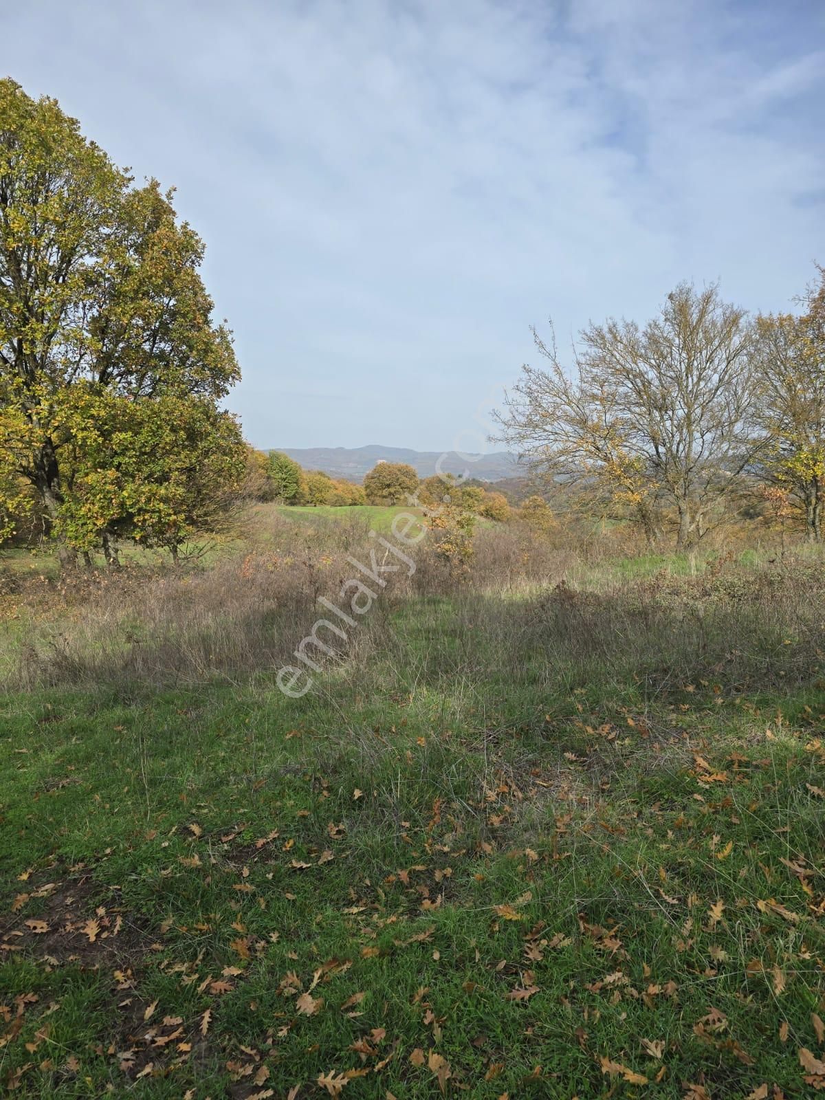 Çanakkale Çan Yaykın Köyü'nde Satılık Tarla - Görsel 12