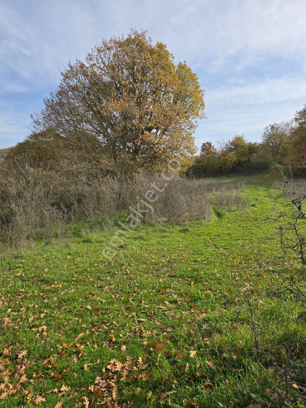Çanakkale Çan Yaykın Köyü'nde Satılık Tarla - Görsel 3