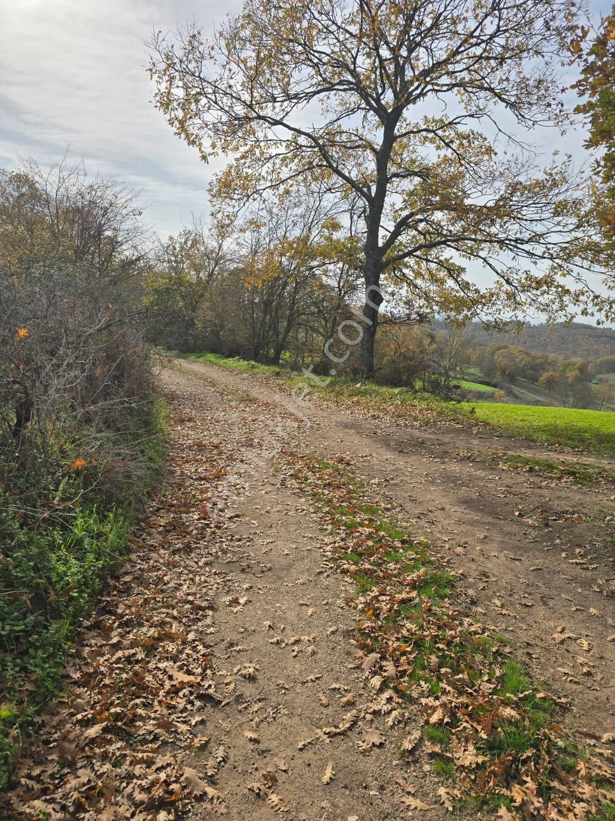 Çanakkale Çan Yaykın Köyü'nde Satılık Tarla - Görsel 9