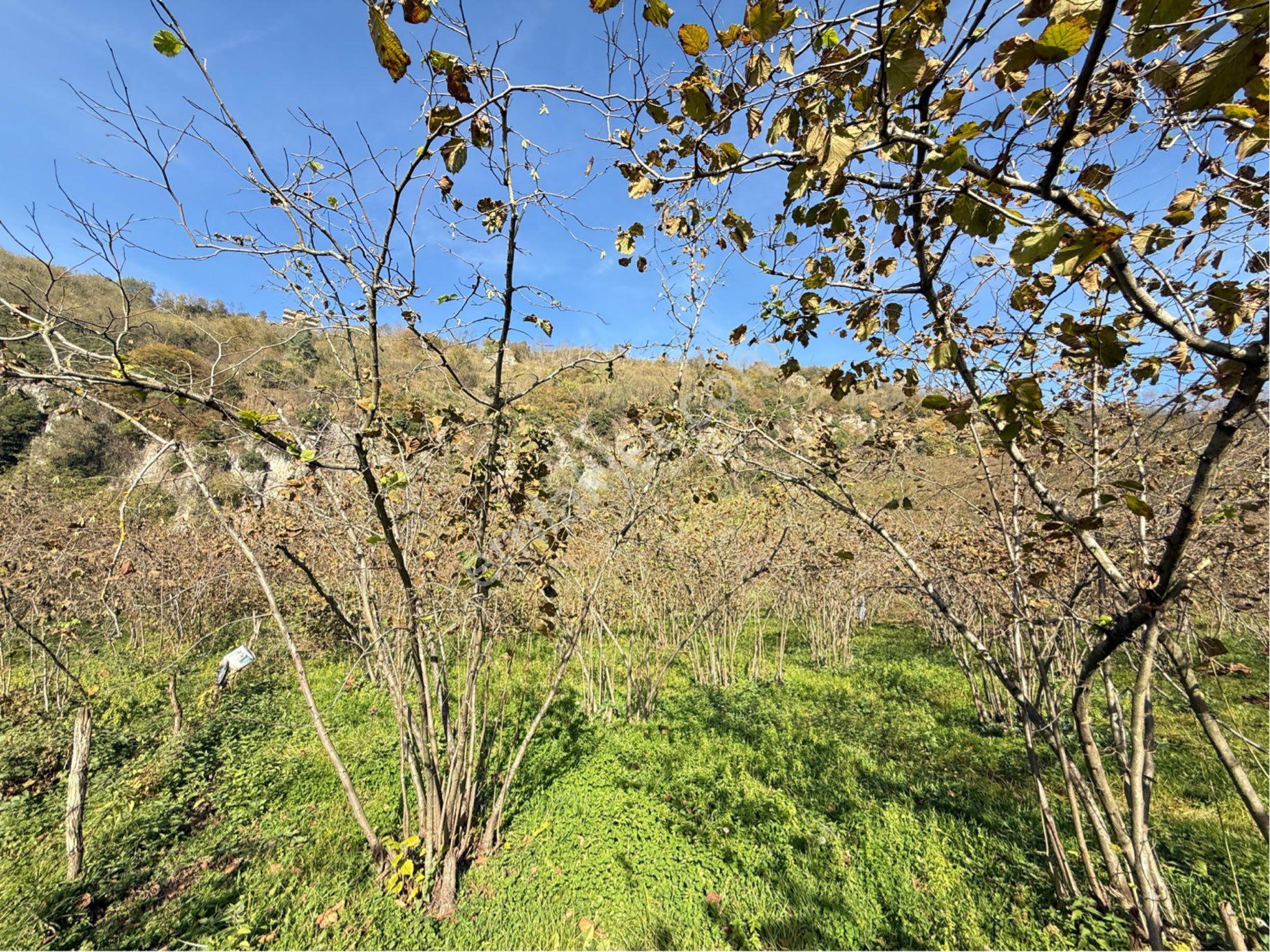 Çukurçayır Da İmarlı Satılık Arsa - Görsel 18