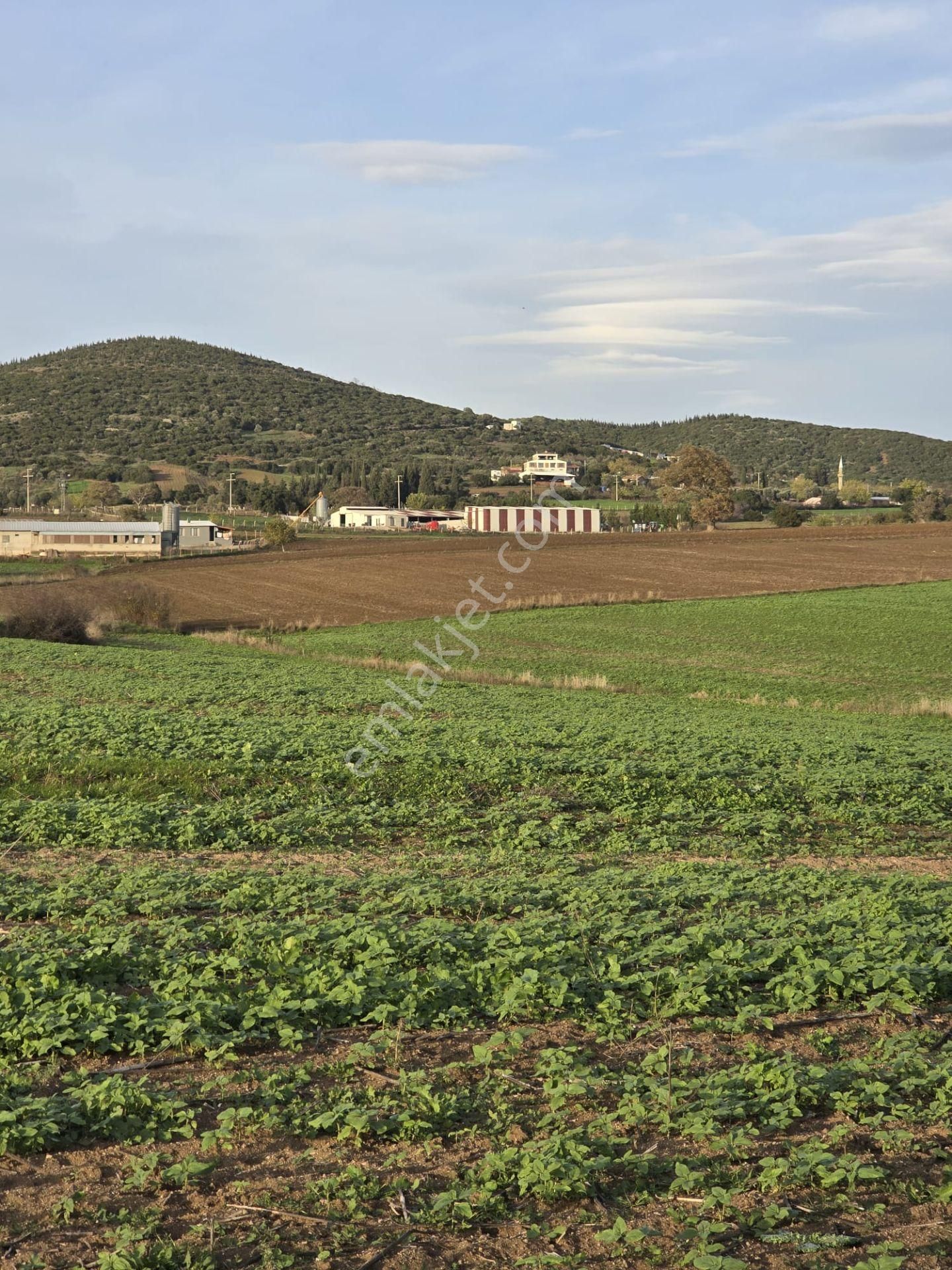 Çanakkale Biga Eskibalıklı Köyü Satılık Tarla - Görsel 19