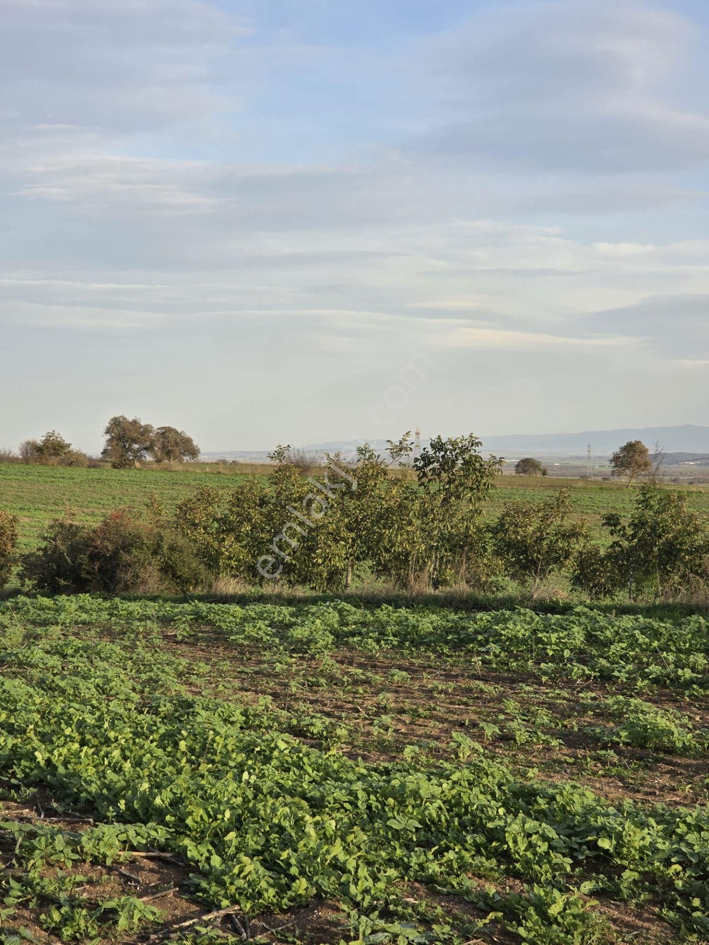 Çanakkale Biga Eskibalıklı Köyü Satılık Tarla - Görsel 13
