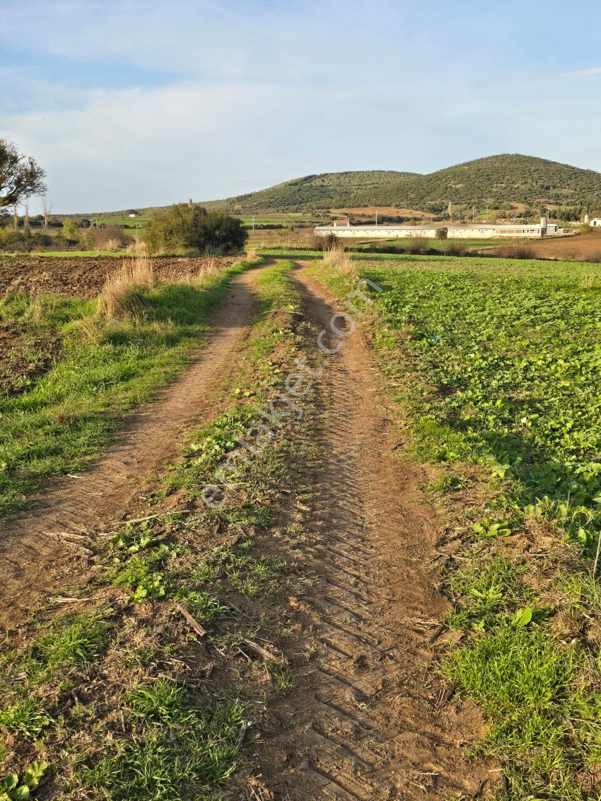 Çanakkale Biga Eskibalıklı Köyü Satılık Tarla - Görsel 6