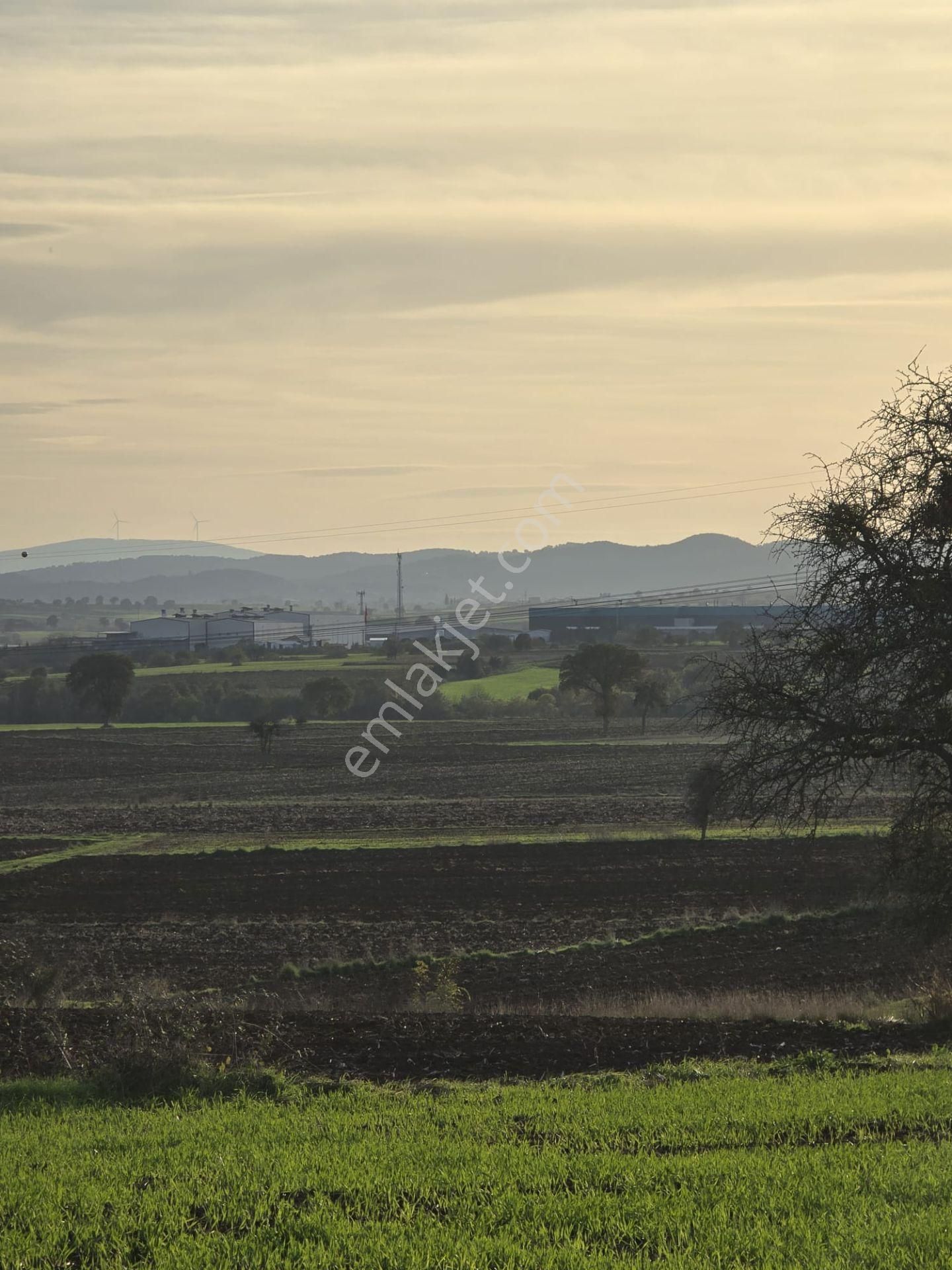 Çanakkale Biga Eskibalıklı Köyü Satılık Tarla