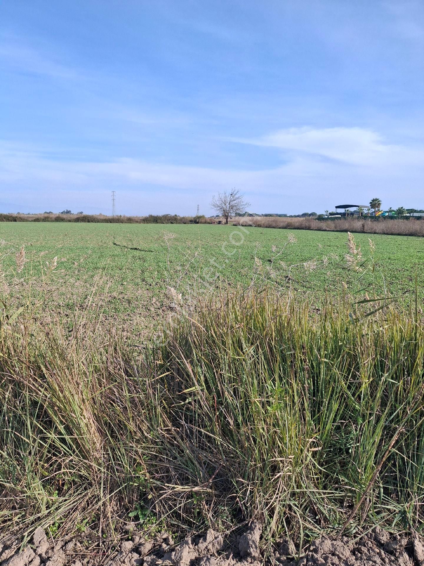 Turizmin Başkenti Antalya Kundu Oteller Bölgesi Aksa Oteli Kuzeyi - Görsel 6
