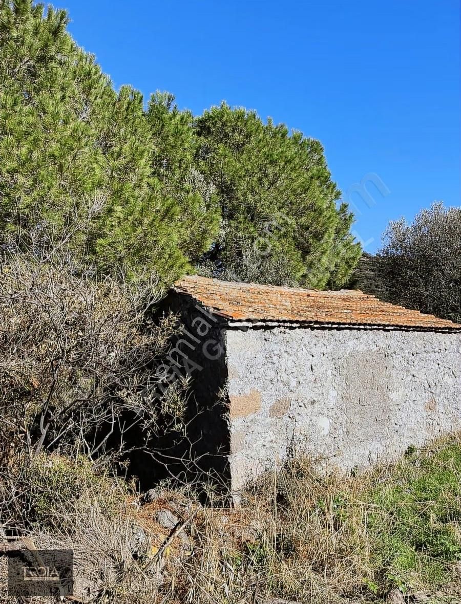 Babakale Aklimanda İmarlı Arsa Ve Avlulu Ev - Görsel 11