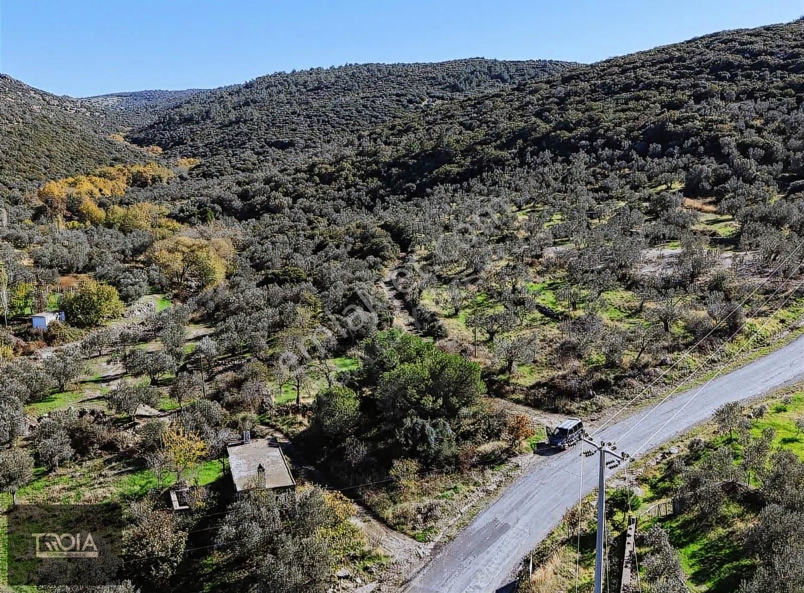 Babakale Aklimanda İmarlı Arsa Ve Avlulu Ev - Görsel 2