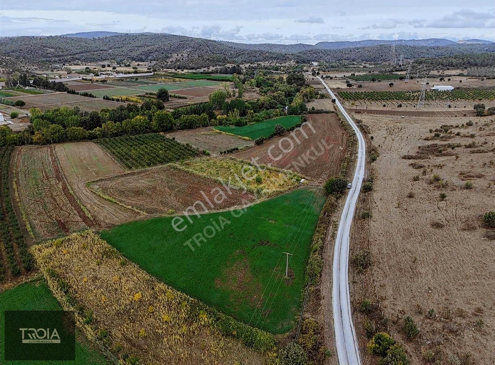 Ezine Akköyde 6100 M² Asfalt Yola Cephe Tarla - Görsel 13