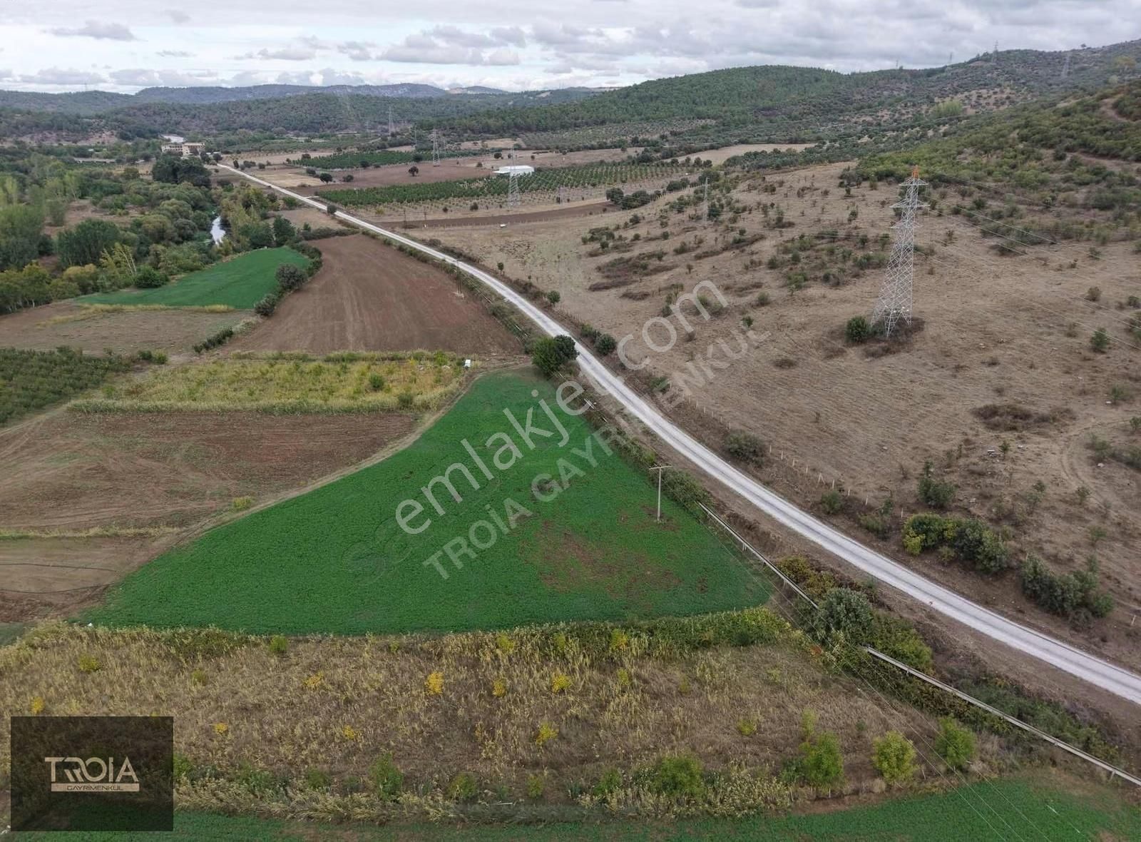 Ezine Akköyde 6100 M² Asfalt Yola Cephe Tarla - Görsel 14