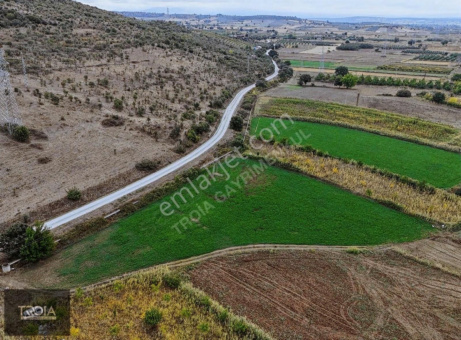 Ezine Akköyde 6100 M² Asfalt Yola Cephe Tarla