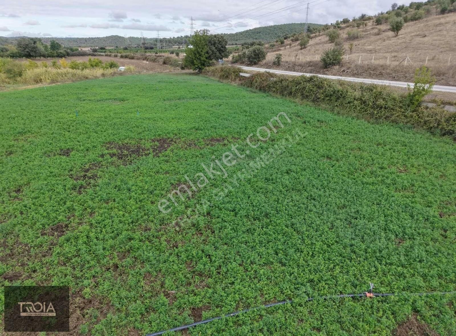 Ezine Akköyde 6100 M² Asfalt Yola Cephe Tarla - Görsel 2