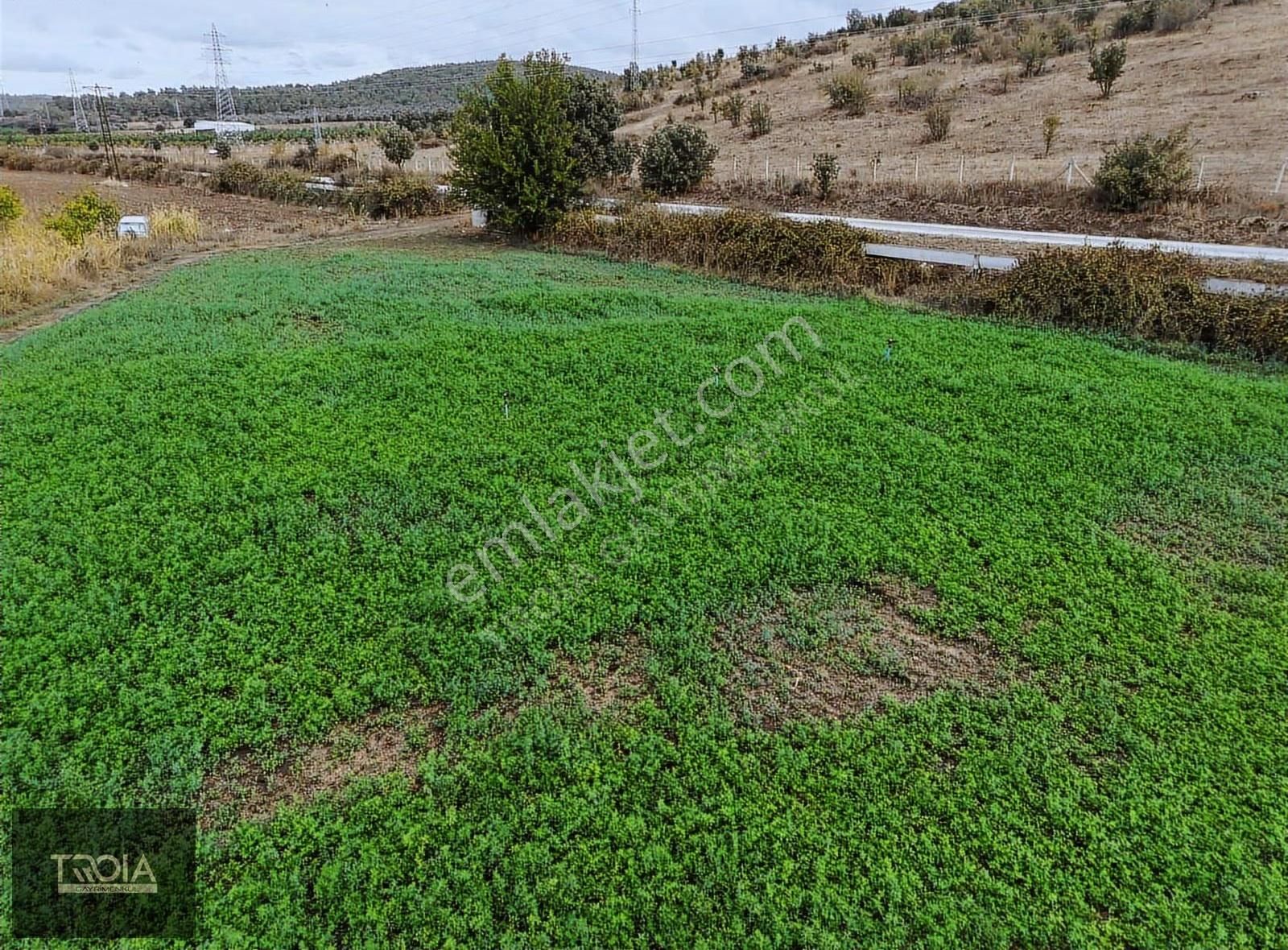 Ezine Akköyde 6100 M² Asfalt Yola Cephe Tarla - Görsel 16