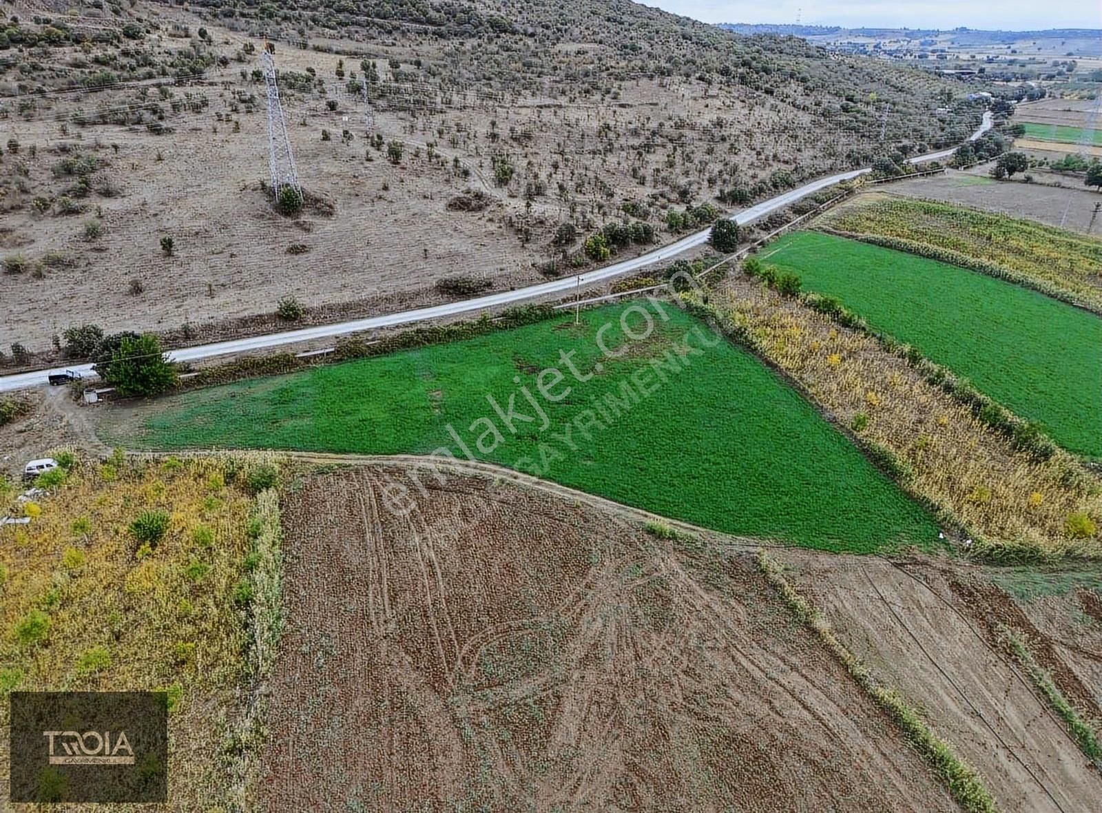 Ezine Akköyde 6100 M² Asfalt Yola Cephe Tarla - Görsel 7