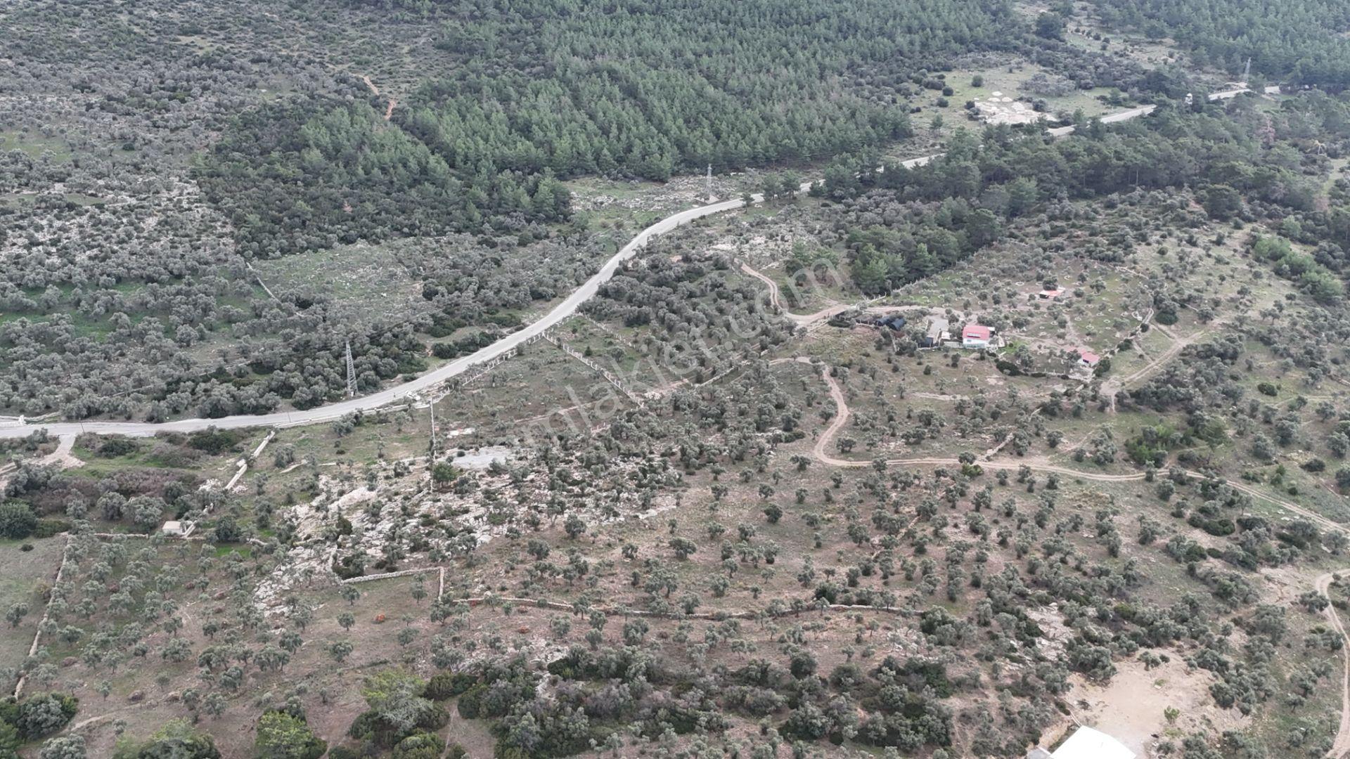 Muğla Milas Bozbükte 6.633m² Yatırımlık Arazi - Görsel 3