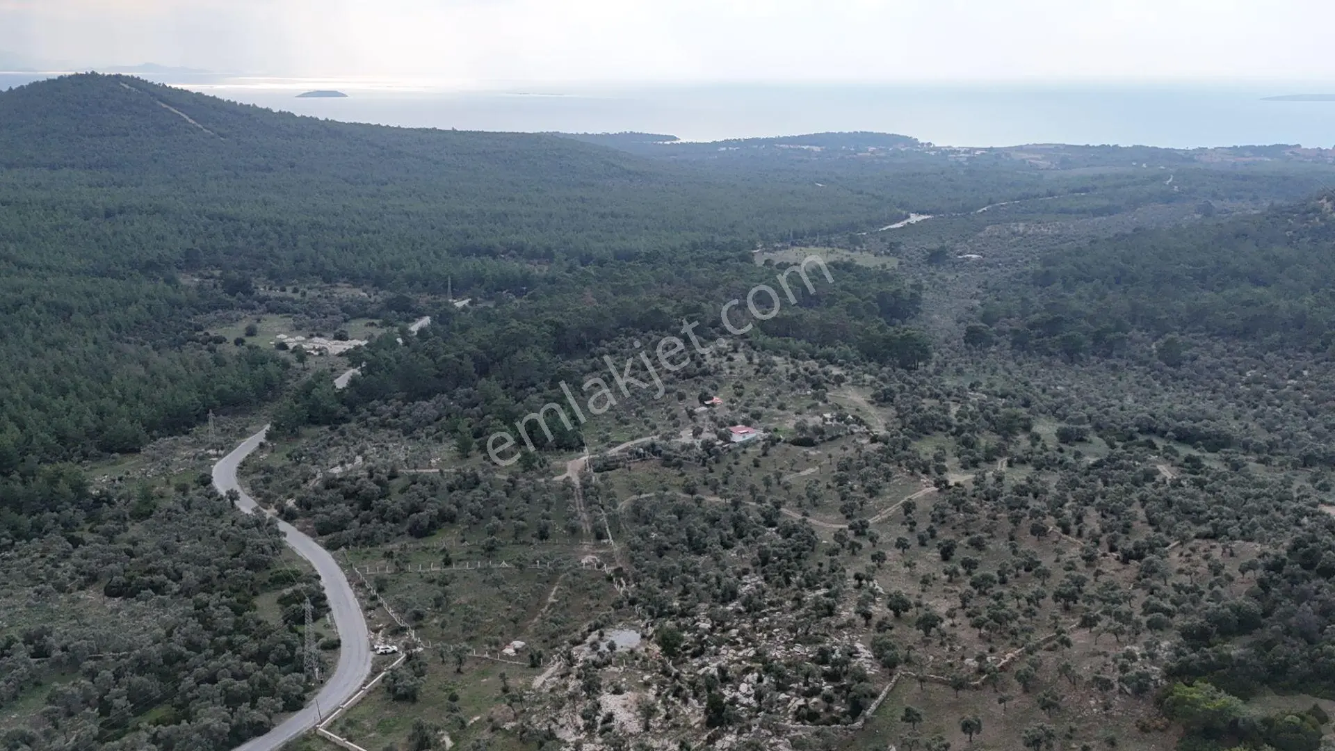 Muğla Milas Bozbükte 6.633m² Yatırımlık Arazi - Görsel 5