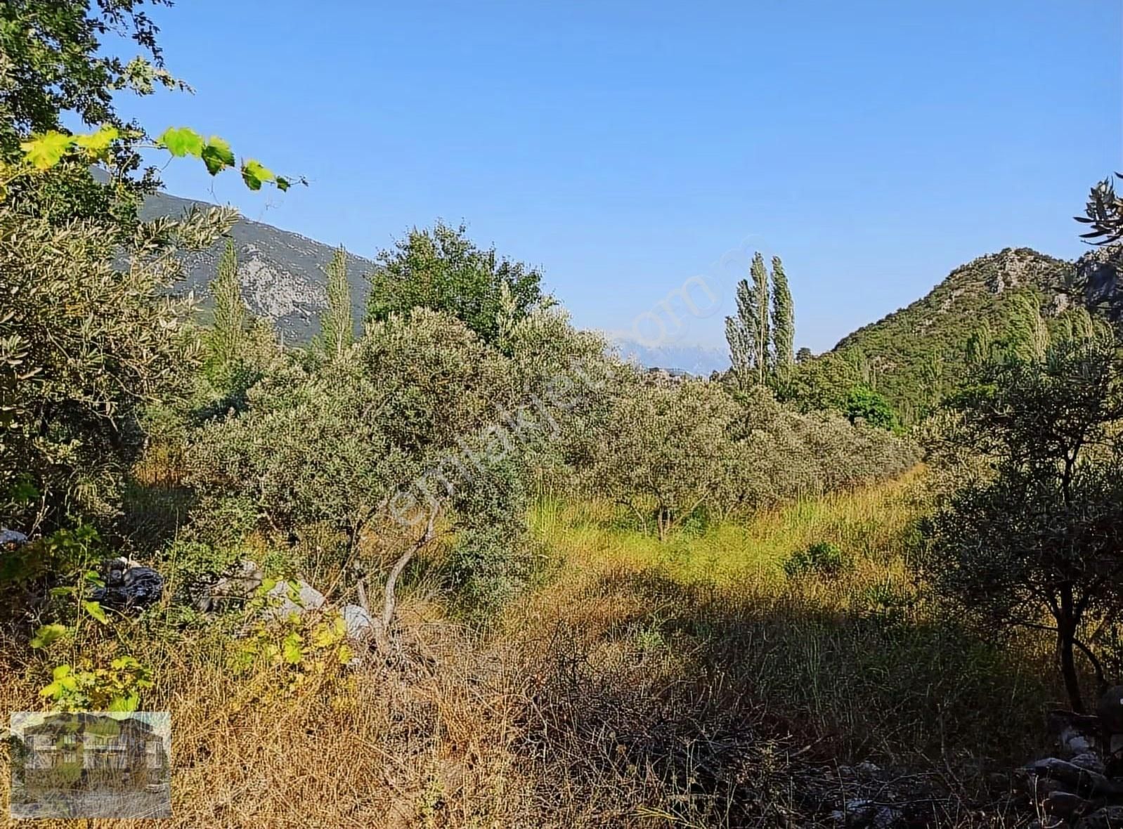 Mugla/seydıkemer/sógútlúdere Mh Satılık Tarla