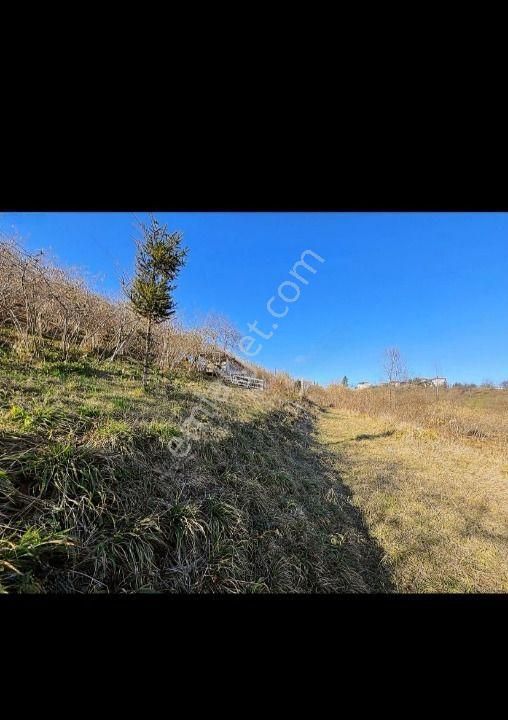 Trabzon Arsin'de Satılık Arazi - Görsel 10
