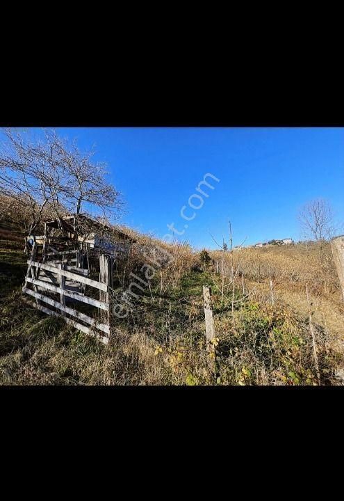 Trabzon Arsin'de Satılık Arazi - Görsel 12