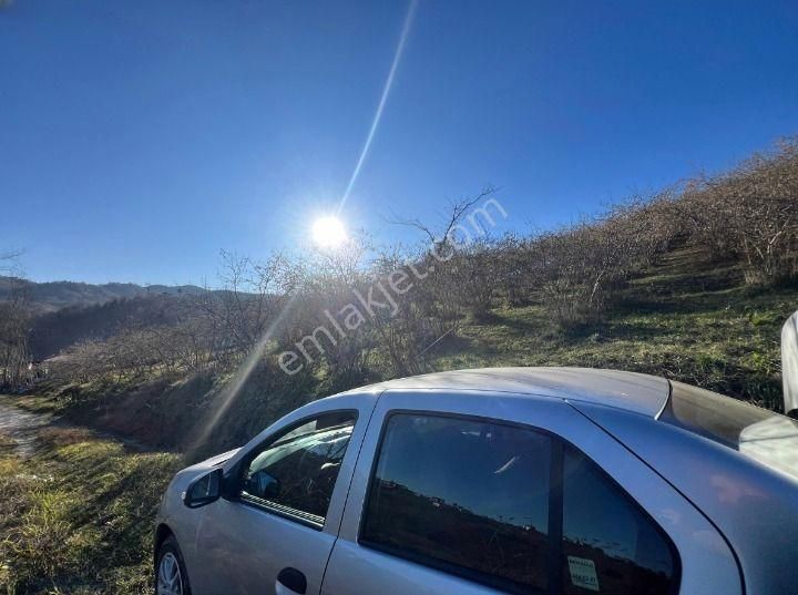 Trabzon Arsin'de Satılık Arazi - Görsel 23